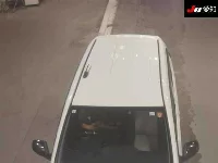 Цена авто Daihatsu  с аукционов Японии, номер кузова LA350S, пробег 261 000, оценка 2