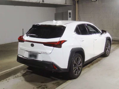 Lexus UX300h