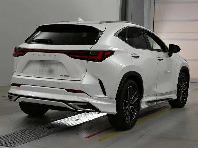 Lexus NX250