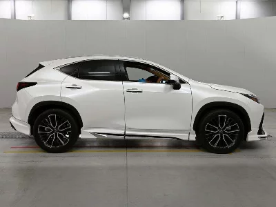 Lexus NX250