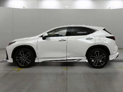 Lexus NX250