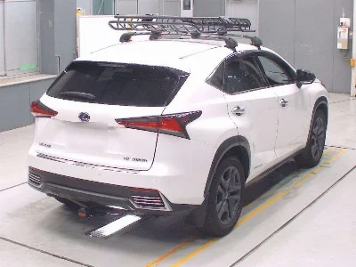 Lexus NX300h
