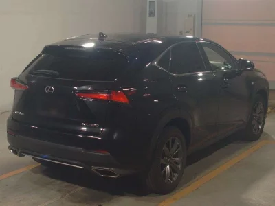 Lexus NX300