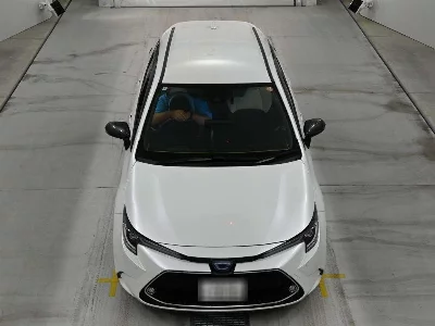 Toyota Corolla Wagon