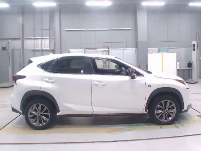 Lexus NX300h