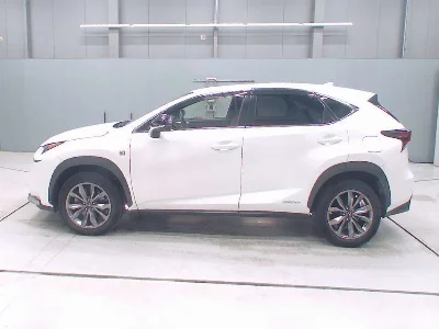 Lexus NX300h
