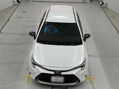 Toyota Corolla Wagon