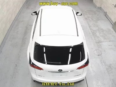 Lexus NX300h