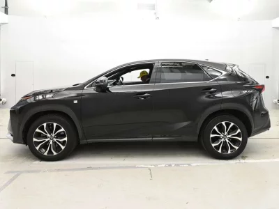 Lexus NX300