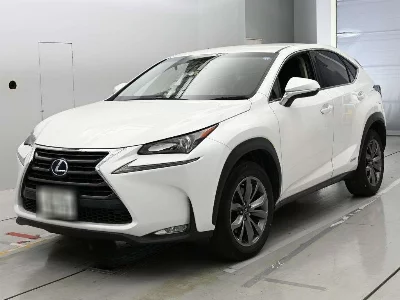 Lexus NX300h