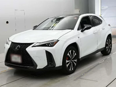 Lexus UX250h