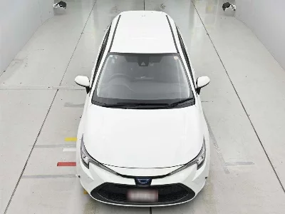 Toyota Corolla Wagon