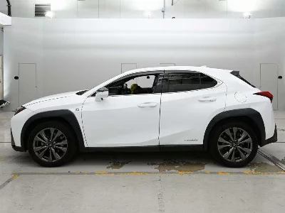 Lexus UX250h