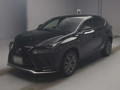 Lexus NX300h