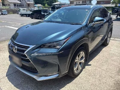 Lexus NX300h