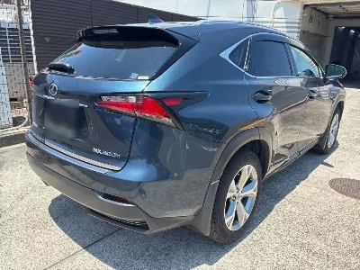 Lexus NX300h