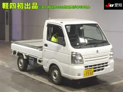 Suzuki Carry Truck
