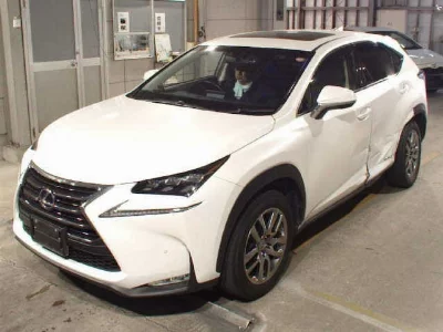 Lexus NX300h