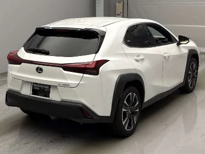 Lexus UX250h