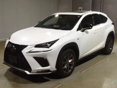Lexus NX300