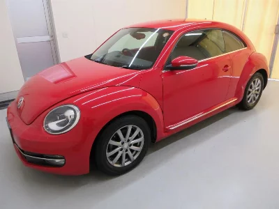 VOLKSWAGEN THE BEETLE