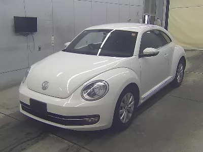 VOLKSWAGEN THE BEETLE