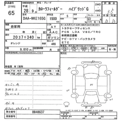 Toyota Corolla Fielder