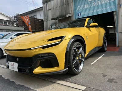 FERRARI PUROSANGUE