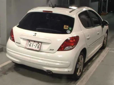 PEUGEOT 207