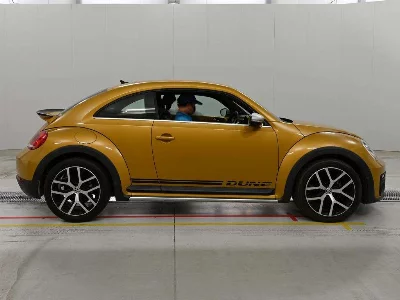 VOLKSWAGEN THE BEETLE