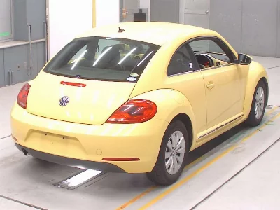 VOLKSWAGEN THE BEETLE