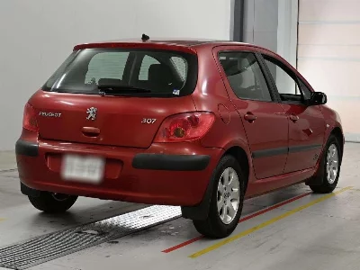 PEUGEOT 307