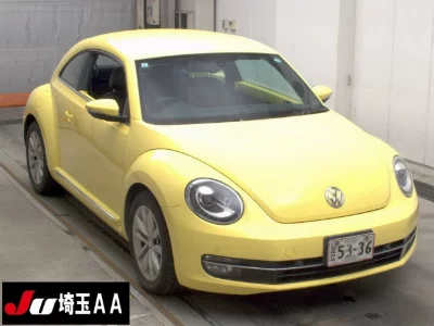 VOLKSWAGEN THE BEETLE