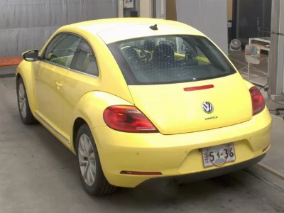 VOLKSWAGEN THE BEETLE