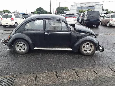 Volkswagen BEETLE