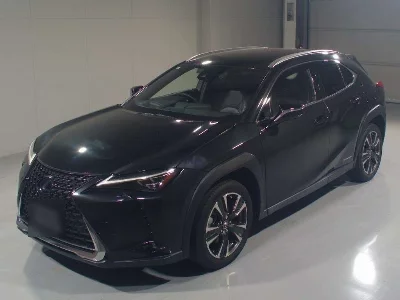 Lexus UX250h