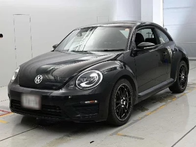 VOLKSWAGEN THE BEETLE
