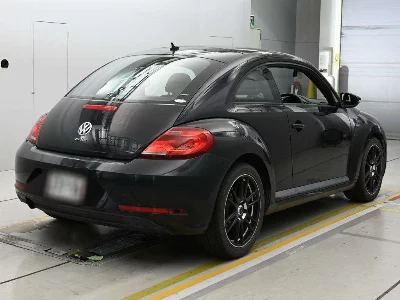 VOLKSWAGEN THE BEETLE