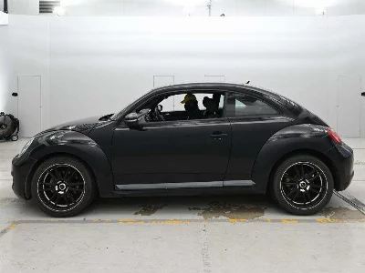 VOLKSWAGEN THE BEETLE