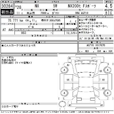 Lexus NX300