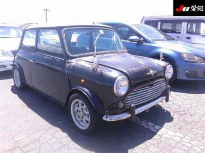 Rover MINI