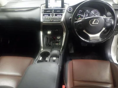 Lexus NX300h