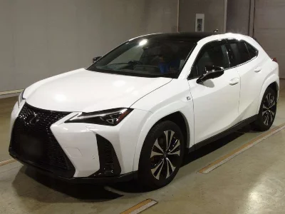 Lexus UX250h
