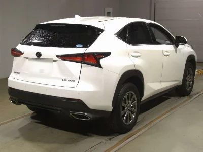 Lexus NX300