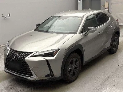 Lexus UX250h