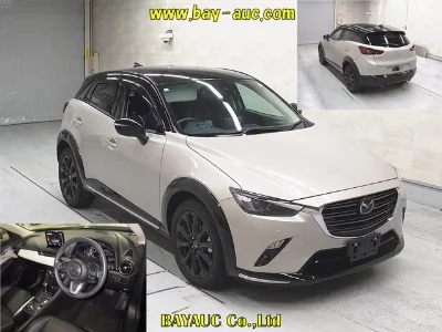 catalog-car-6