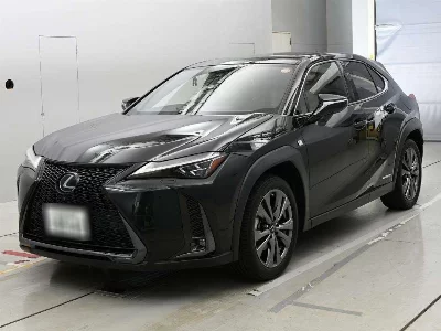 Lexus UX250h
