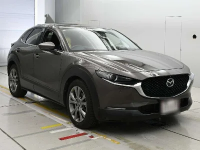 catalog-car-5