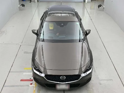 catalog-car-7
