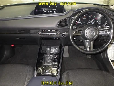 catalog-car-5